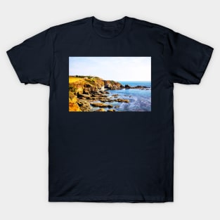 The Lizard Peninsula Cornwall T-Shirt